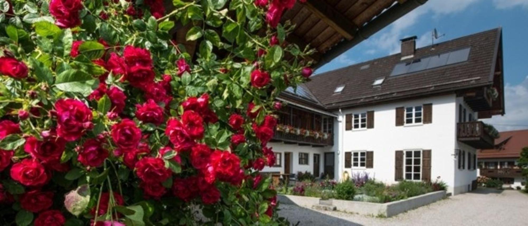 Ferienwohnung Lacherhof Seehausen am Staffelsee Eksteriør bilde