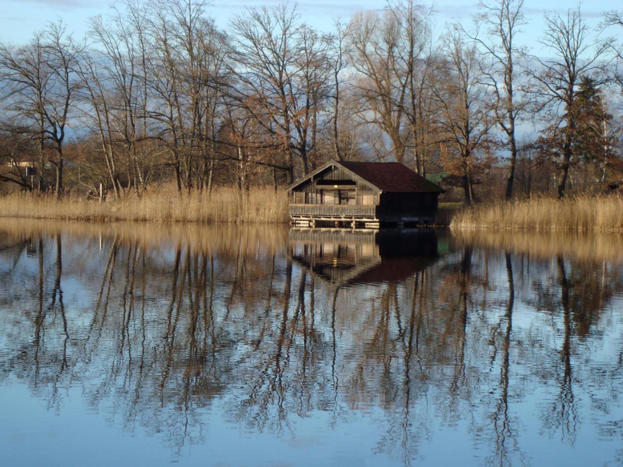 Ferienwohnung Lacherhof Seehausen am Staffelsee Eksteriør bilde